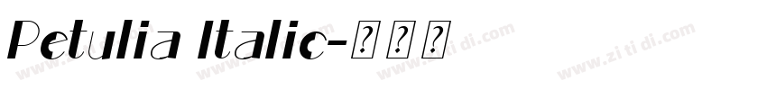 Petulia Italic字体转换 Petulia Italic字体转换